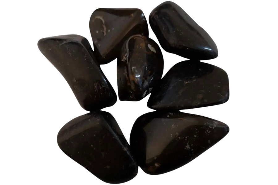 Seven pieces of tumbled black jasper showing shiny luster