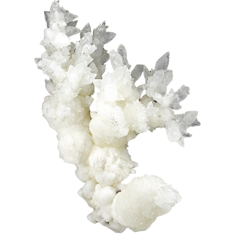 Beautiful branching of white calcite crystals