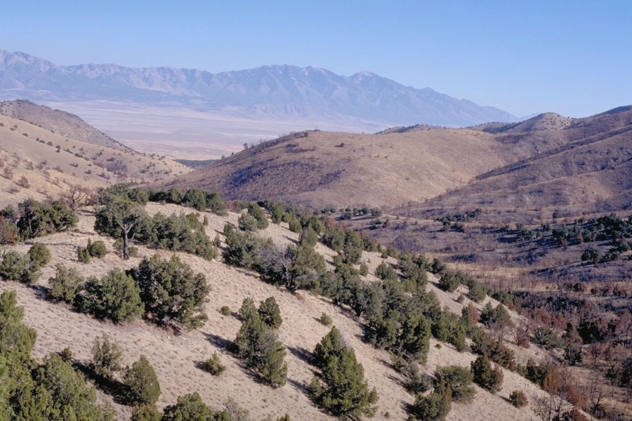 A beautiful aerial view of the Cedar Mountain