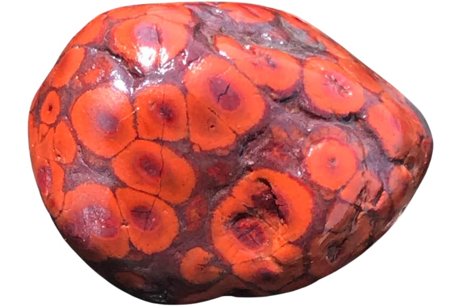 A stunning raw red orbicular jasper with bright red patterns