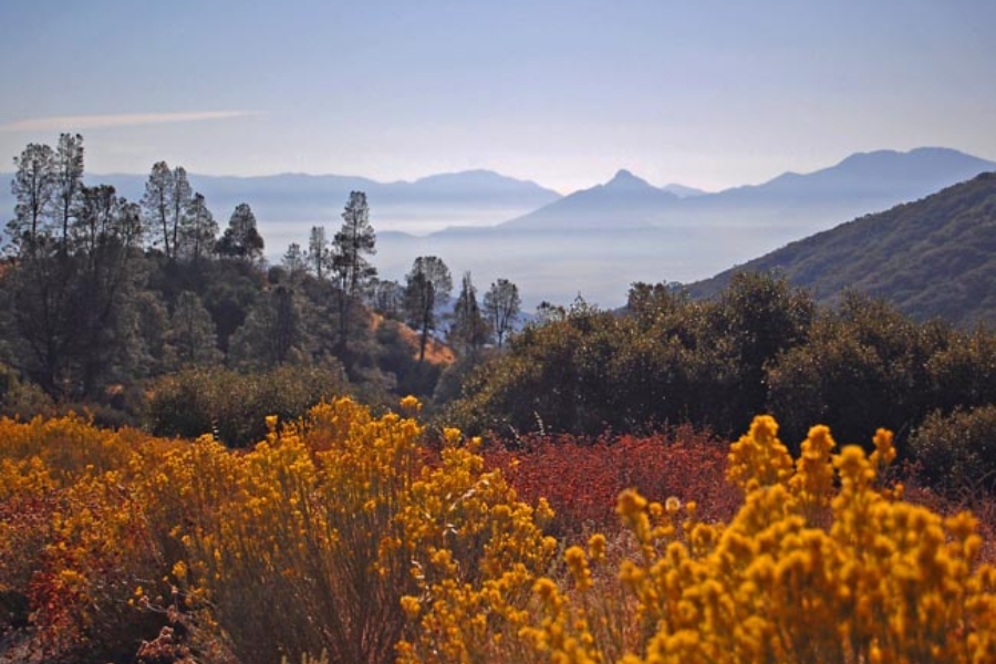 A peaceful scenery at the Greenhorn Mountain