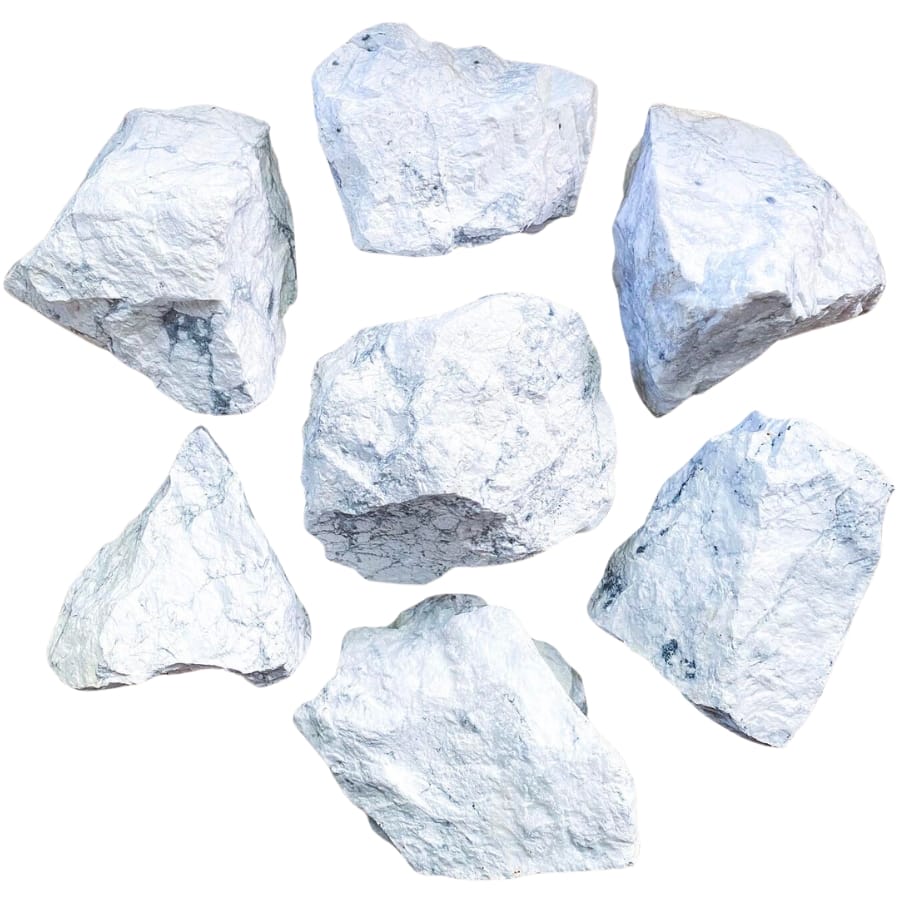 Seven pieces of raw white howlite with visible veining