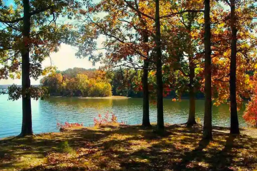 A stunning view of a lake during fall season in Lyon County