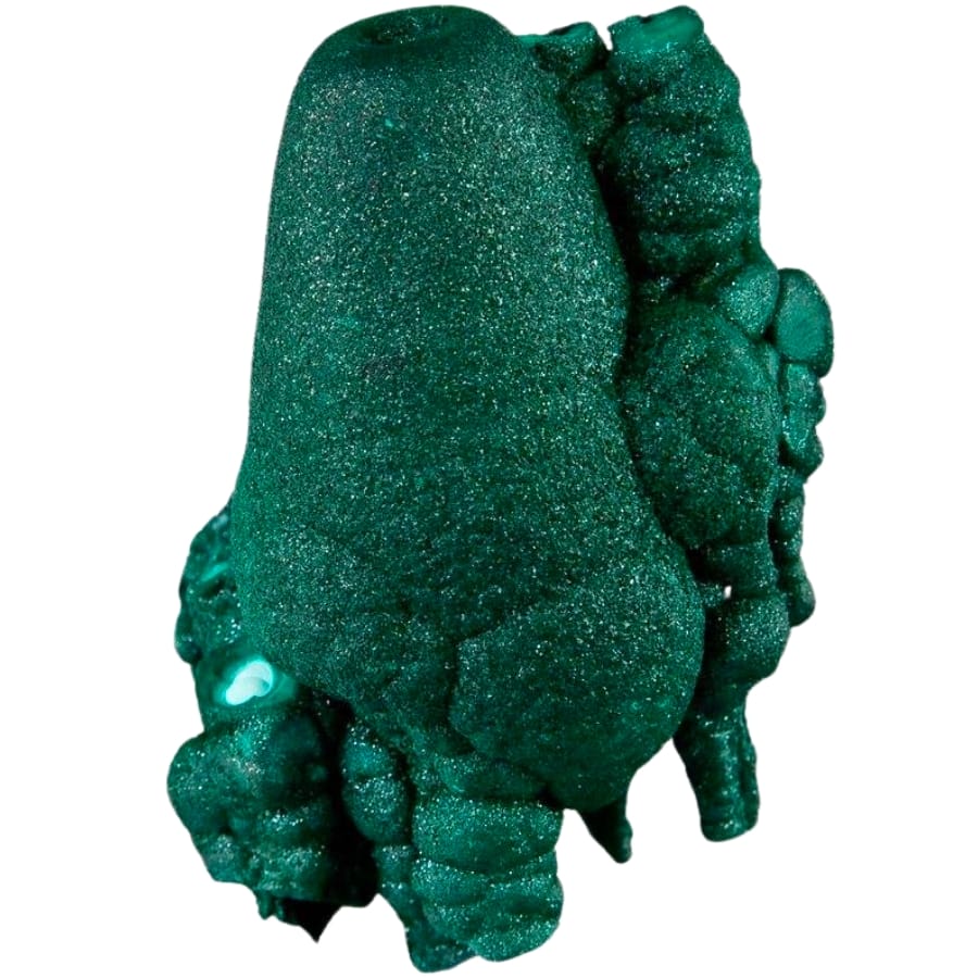 Lustrous forest-green botryoidal malachite