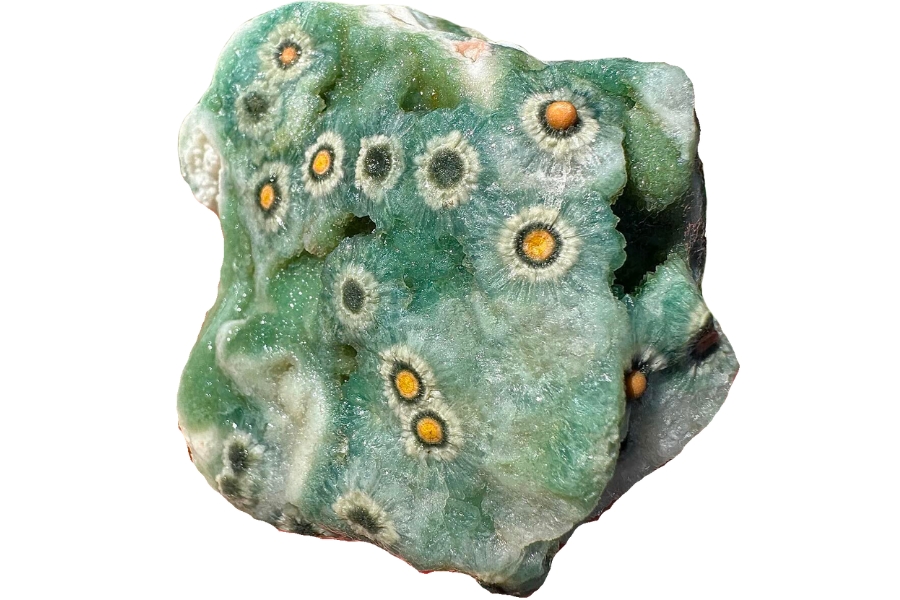 A beautiful green orbicular jasper with unique, flower-like patterns