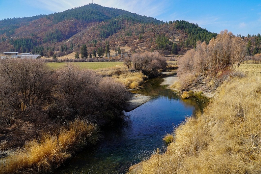 A picturesque scenery at Scott River