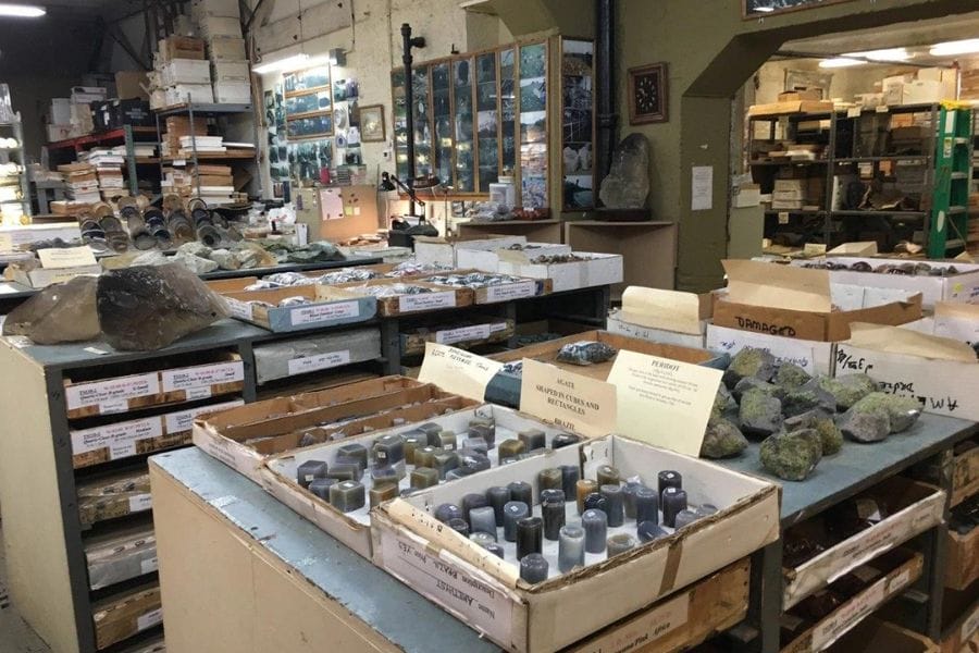 trays of rocks and minerals on display shelves