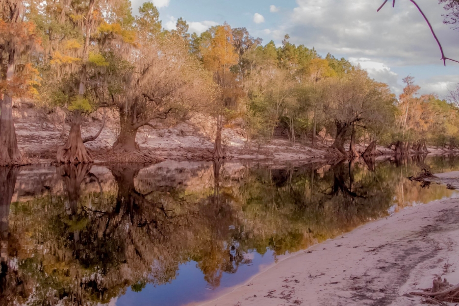 View of the Suwannee River looking like a painting