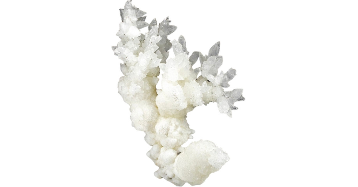A beautiful branching of white calcite crystals