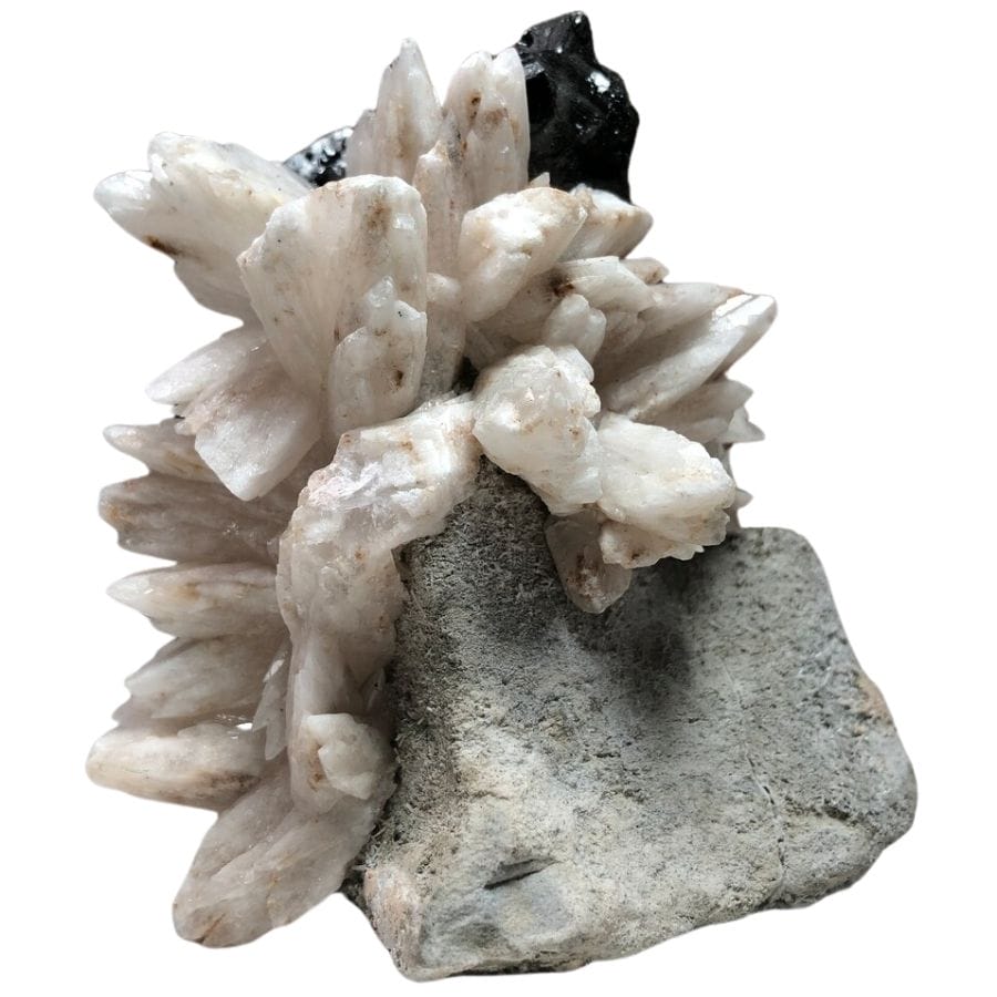 white calcite crystals on a rock