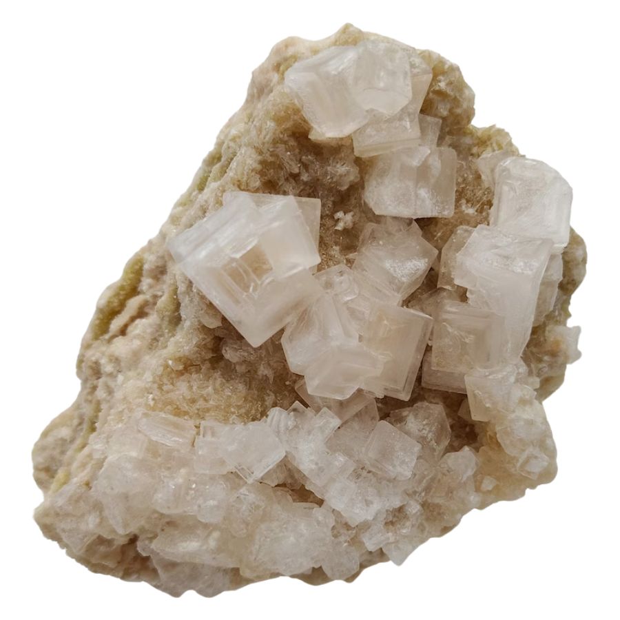 white cubic halite crystals on a rock