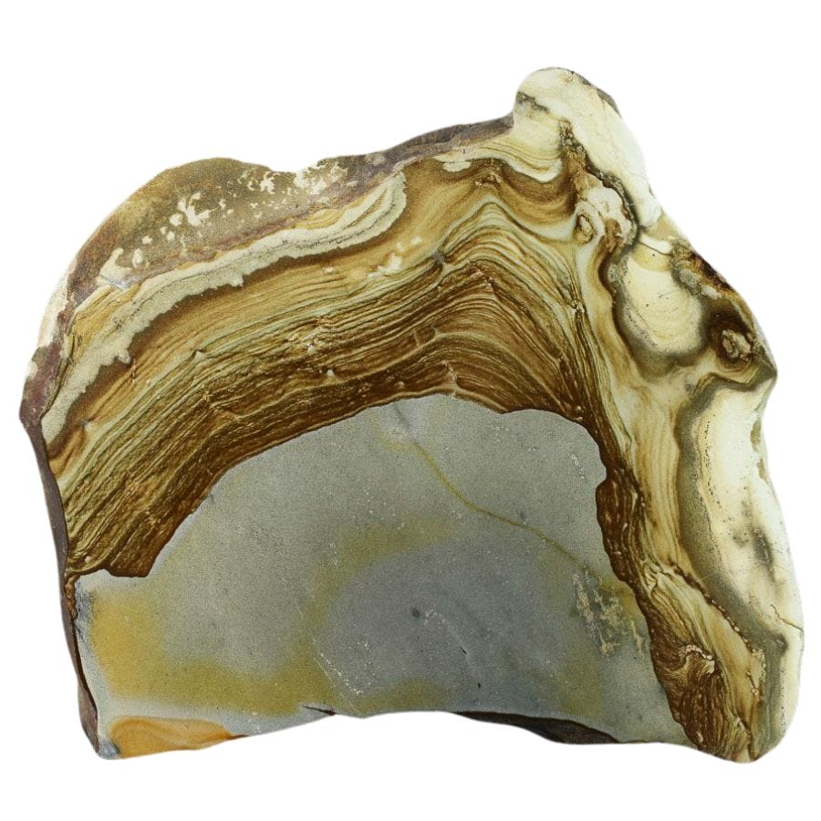 gray and brown picture jasper 