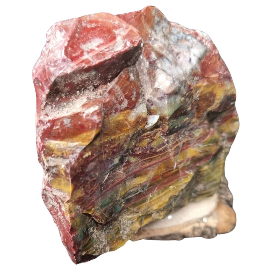 red and yellow opalized wood