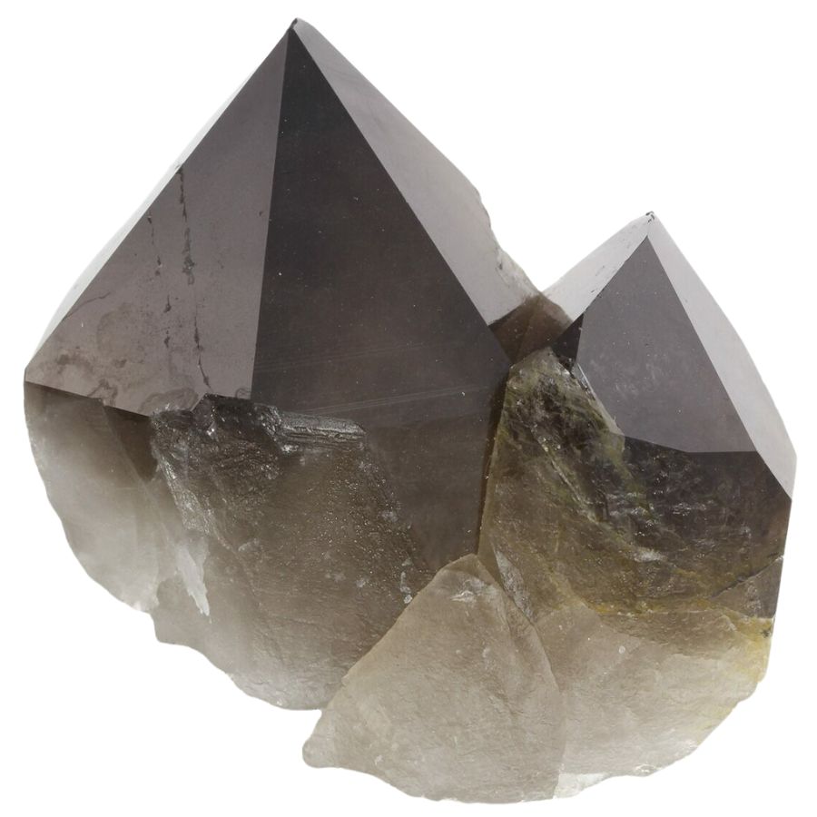 two dark brown smoky quartz crystals