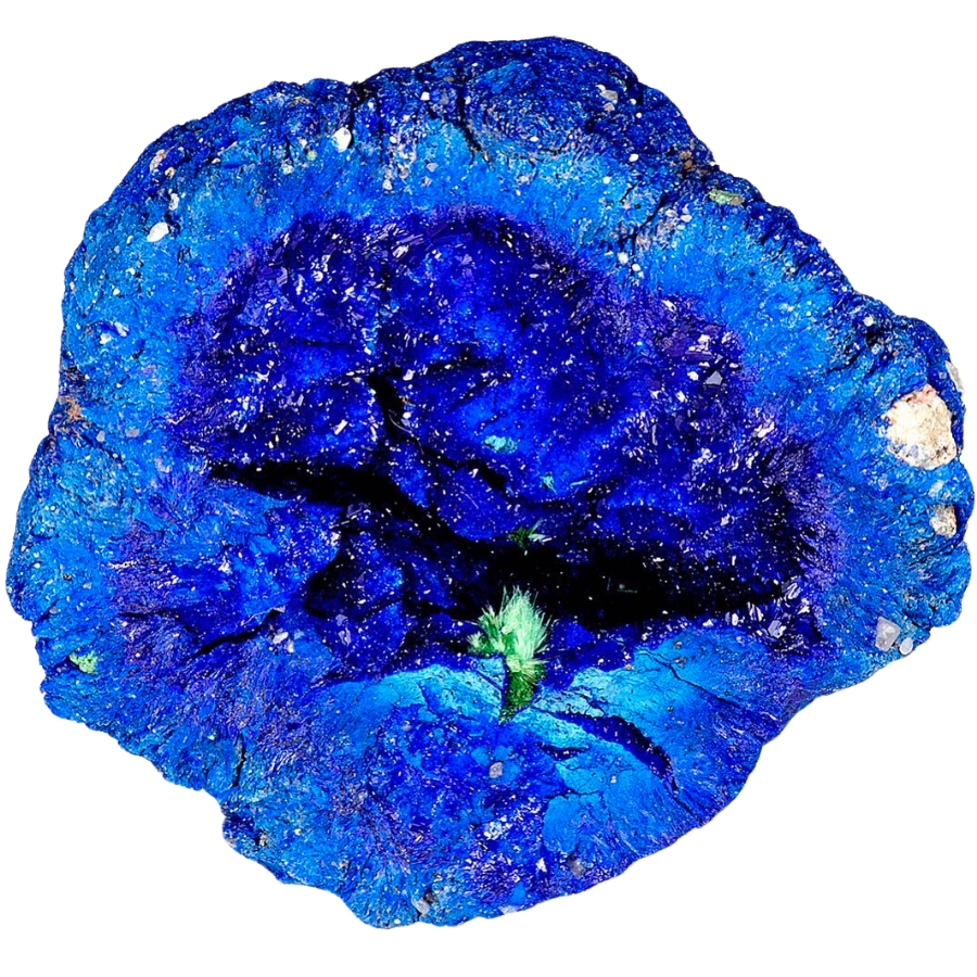An electric blue open azurite geode with minor malachite crystal