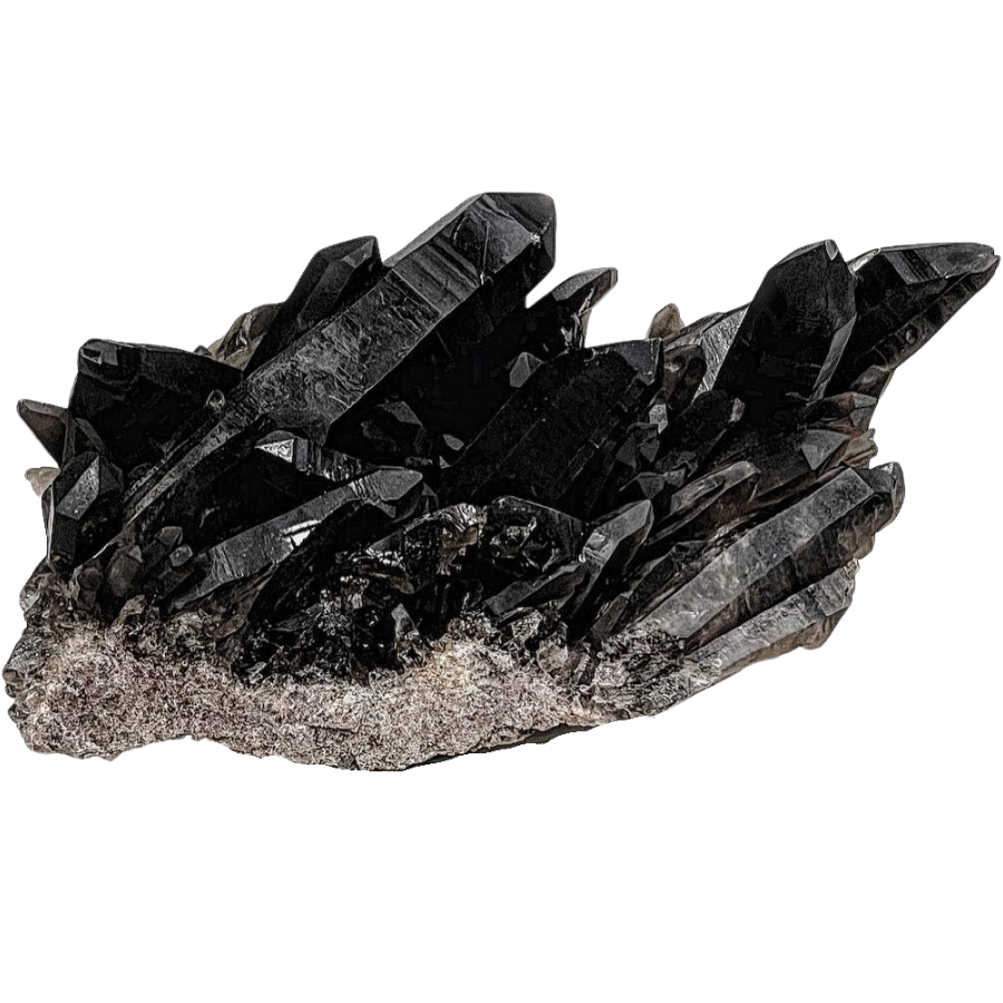 An excellent cluster of elegant black morion quartz