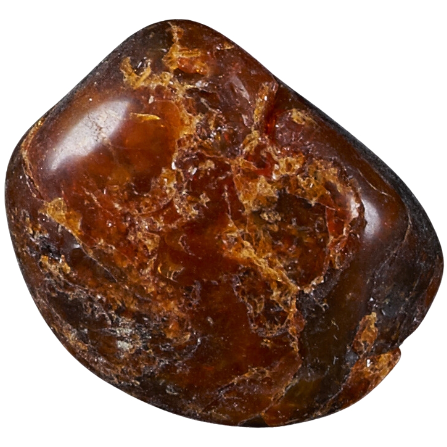 An opaque dark brown Canadian amber
