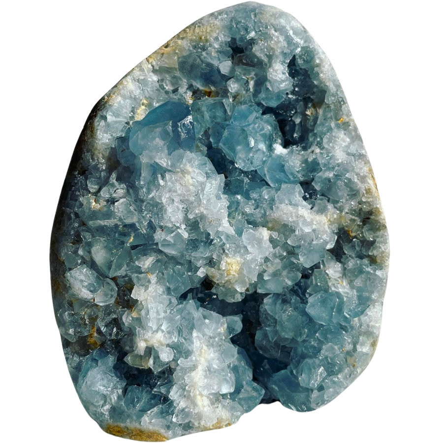 Beautiful, cracked open celestite geode showing dark blue crystals