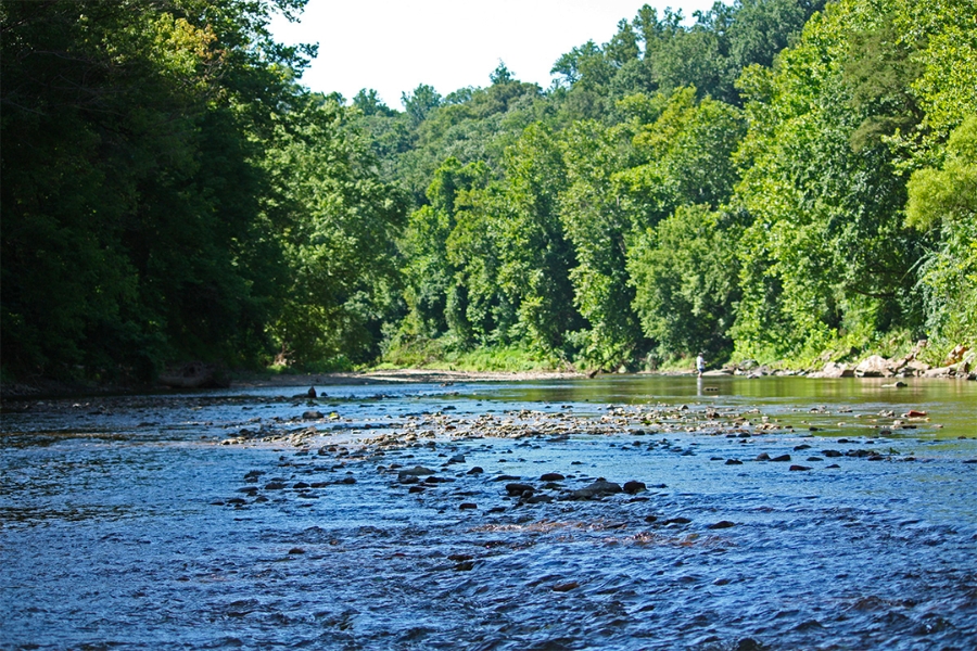 Serene view of the Patapsco River near Cherry Hill