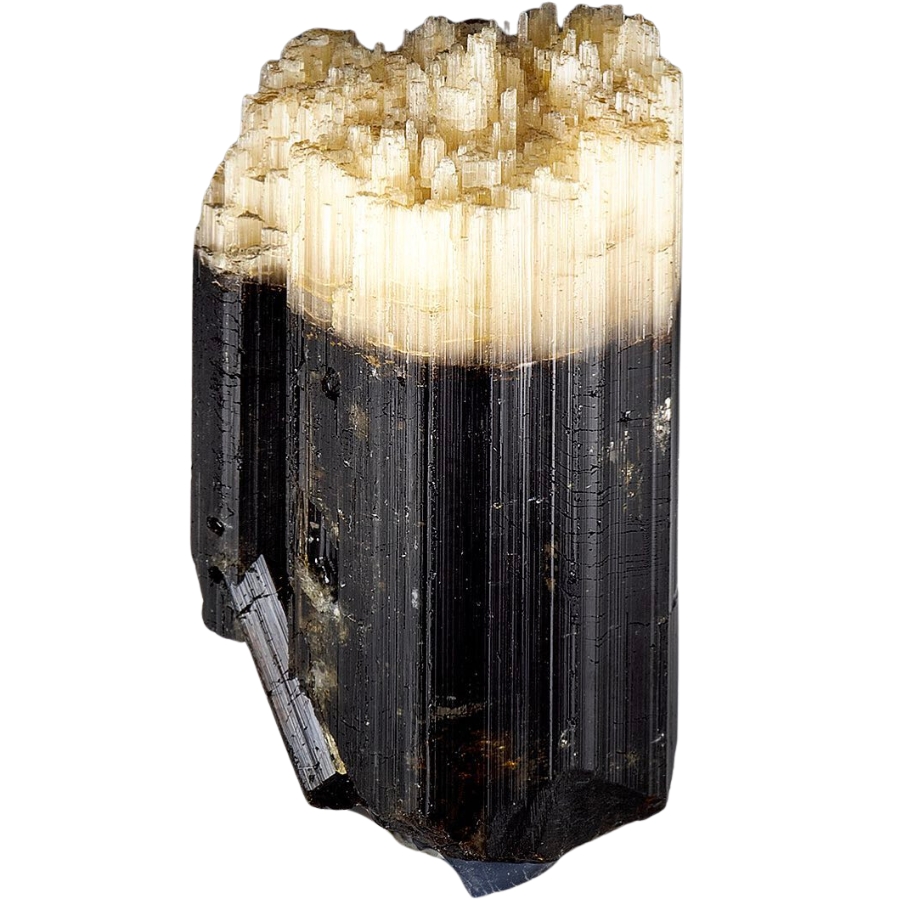 Bi-colored dravite showing white tips and an almost black body