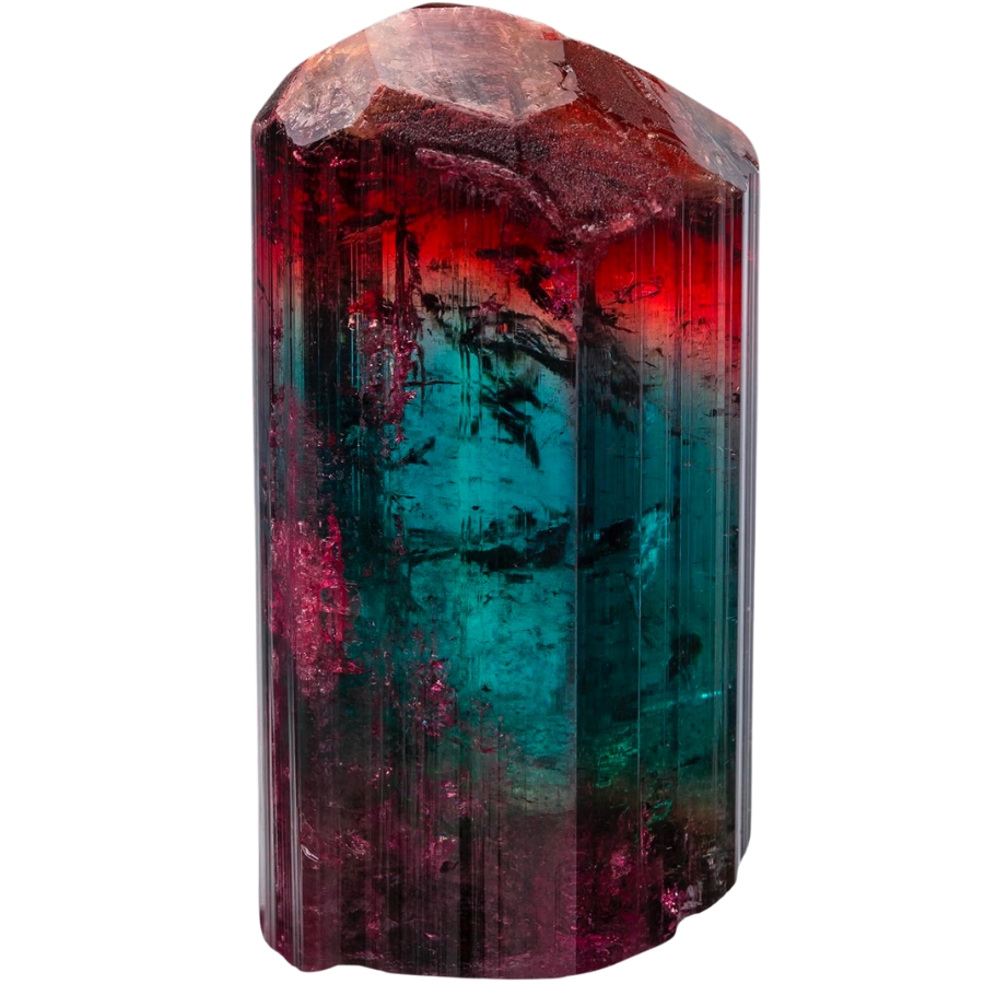 A fine loose crystal of elbaite showing amazing colors of deep red and blue green