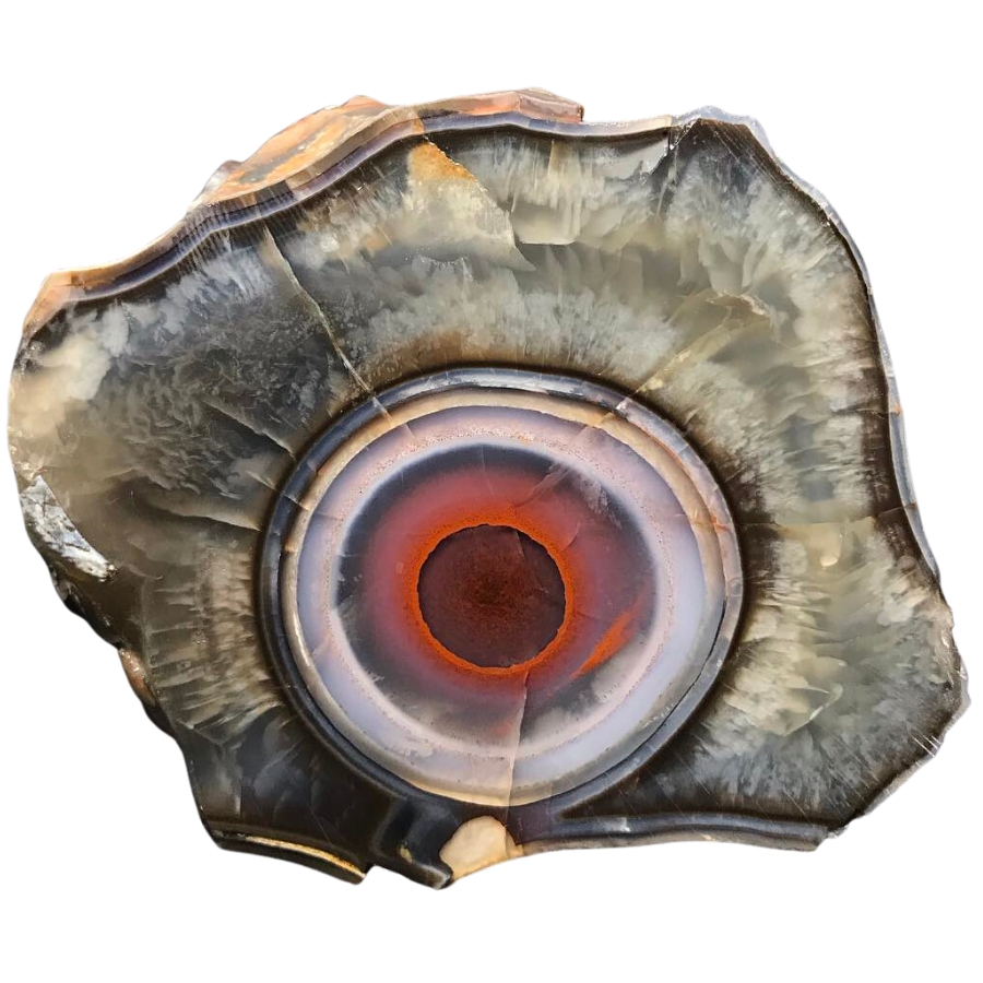 A boulder of eye agate showing a huge eye-like pattern in the middle
