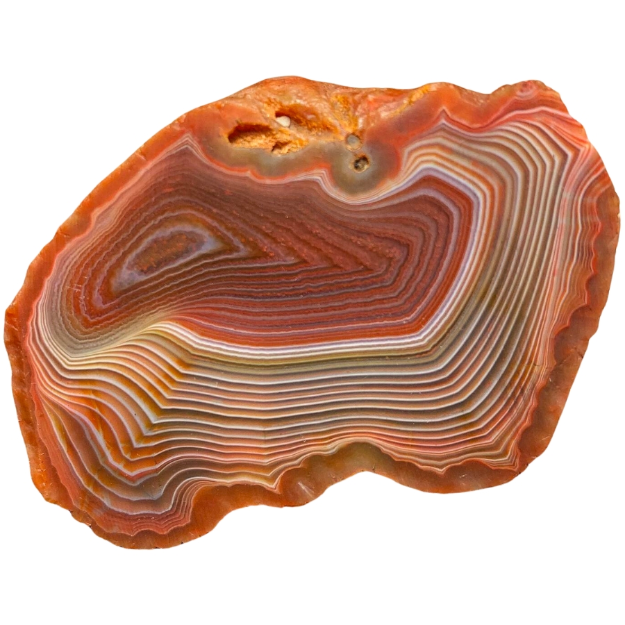 A raw fortification agate showing thinly-spaced consistent banding throughout