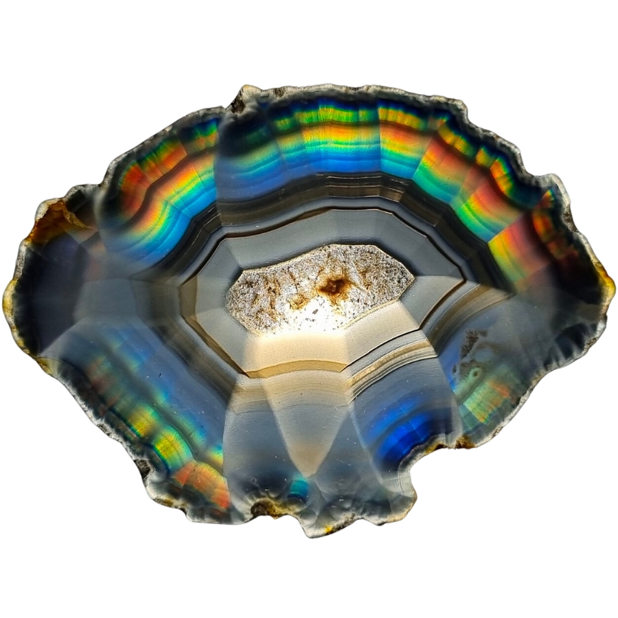 A slice of iris agate put against the light to show it iridescent colors