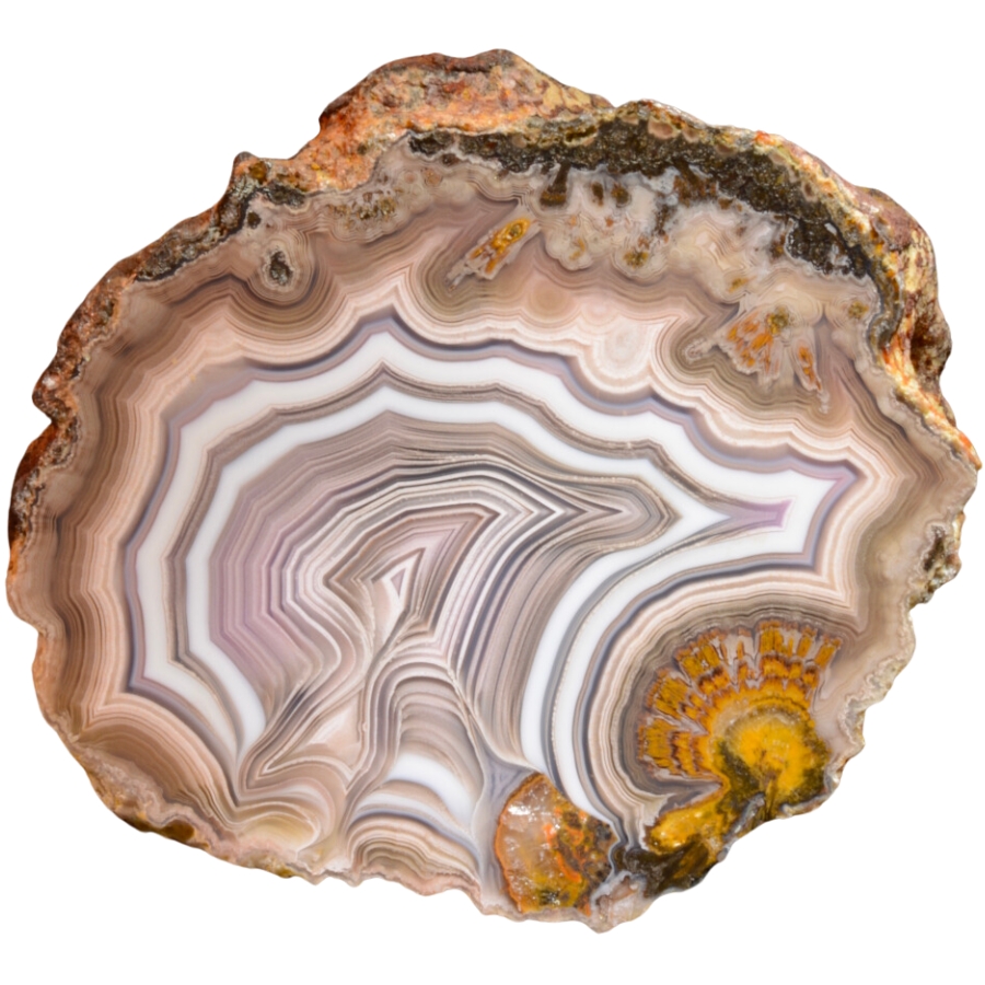 Captivating piece of Laguna agate with mesmerizing banding of gray, white, brown, and light purple