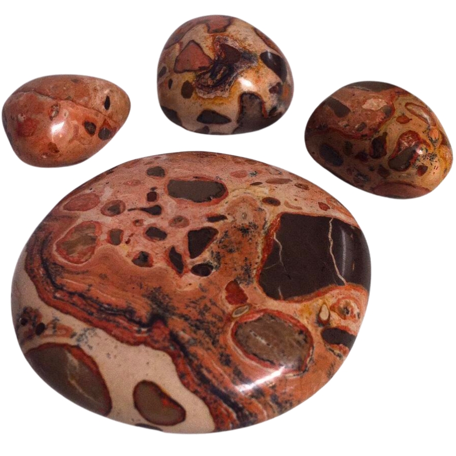 Four pieces of polished leopard skin jasper with stunning patterns