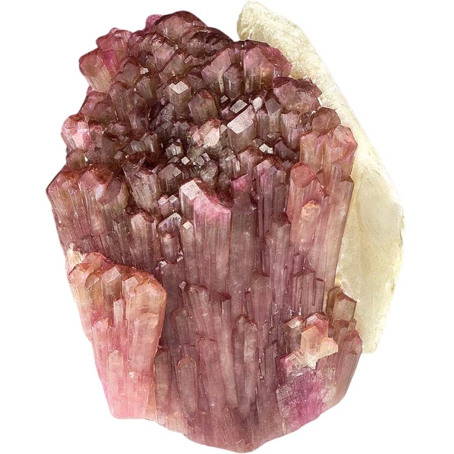 Dark pinkish crystal groupings of liddicoatite with white quartz on one side