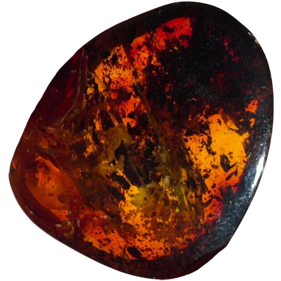 A beautiful piece of Mexicon amber without insect inclusions