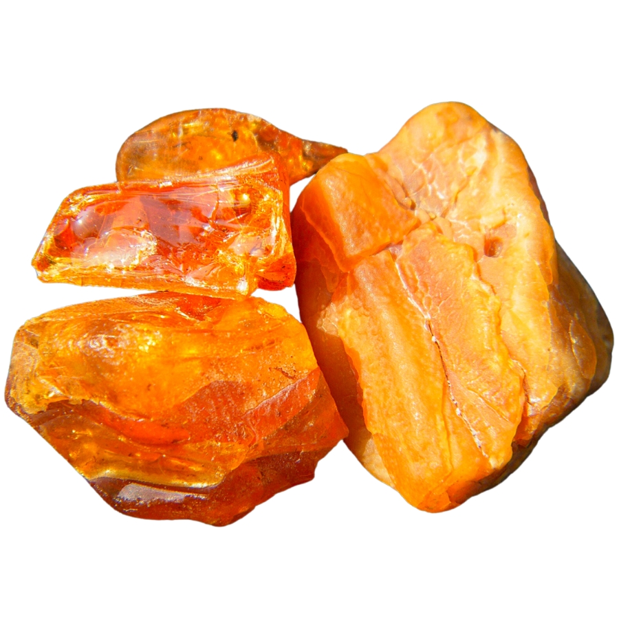 Several pieces of New Jersey amber with different kinds of transparency