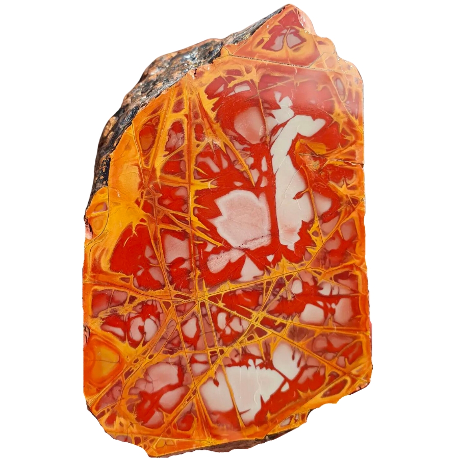 Polished side of a piece of noreena jasper showing intricate patterns of fiery reds and orange