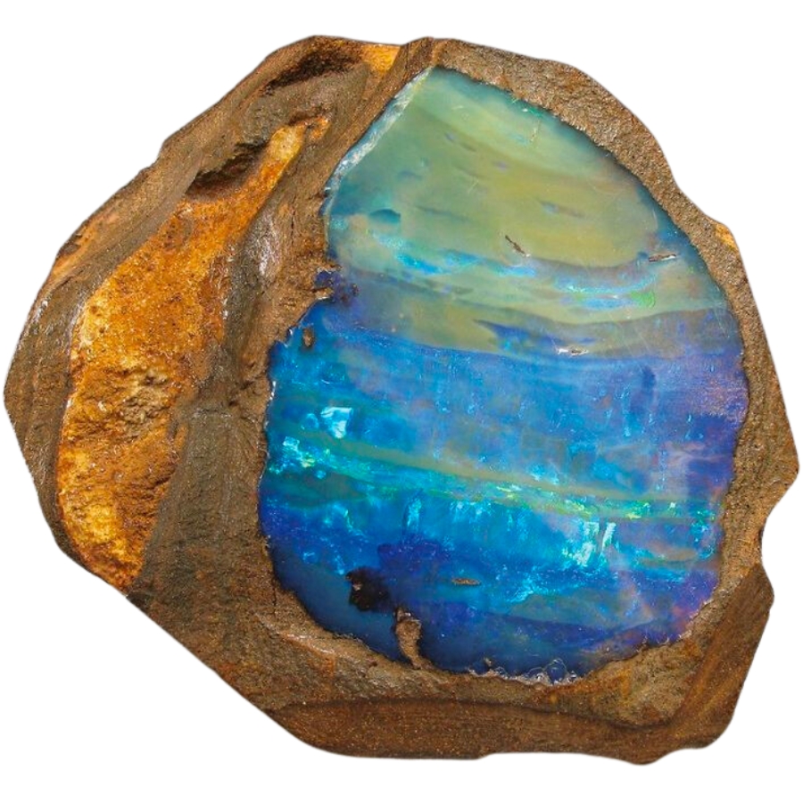 An open opal geode showing a stunning mostly blue opal with play-of-color