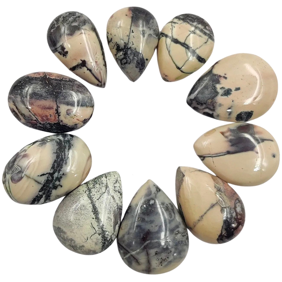 Ten pieces of smooth and shiny porcelain jasper cabochons