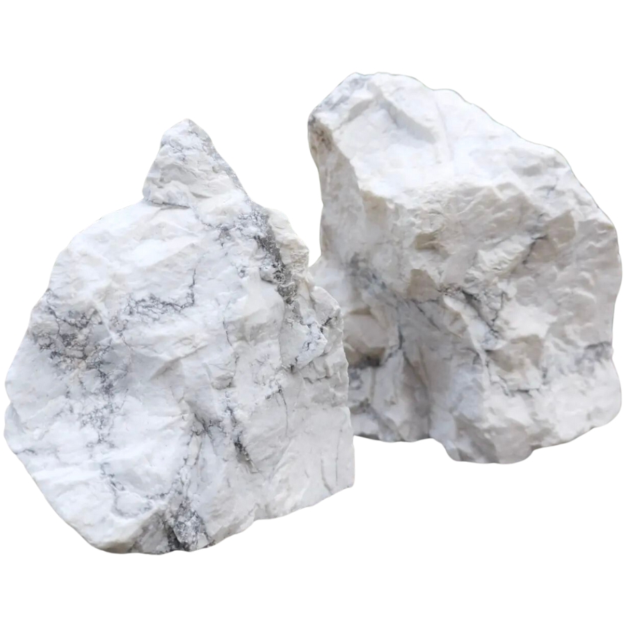 Two pieces of raw howlite chunks with light veins
