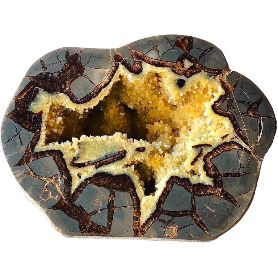 A beautiful specimen of septarian geode showing a mix of colors and distinct patterns
