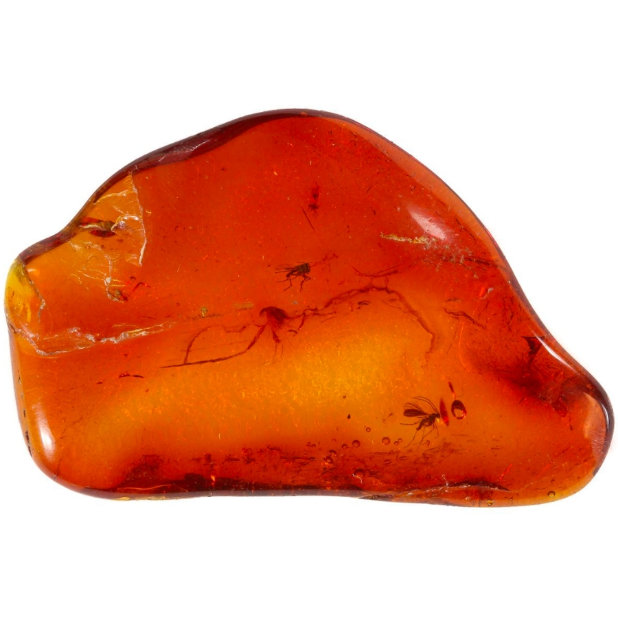 Deep red Sicilian amber with visible insect inclusions