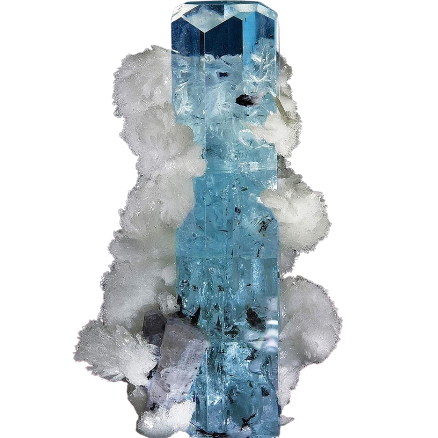 A beautiful light blue aquamarine crystal surrounded by white albite