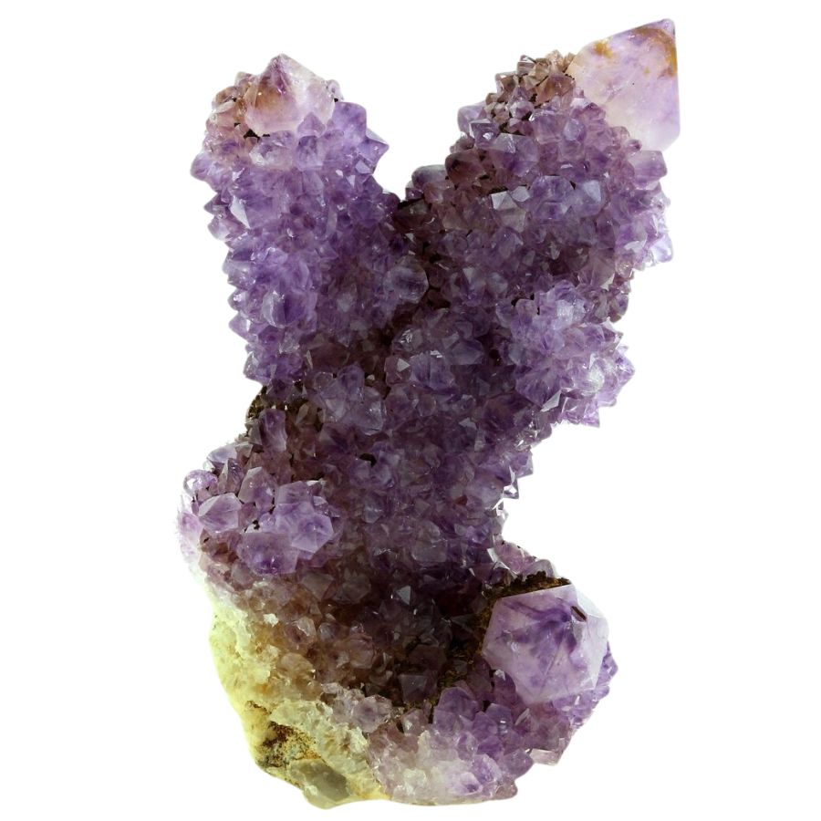purple cactus amethyst with druzy crystals