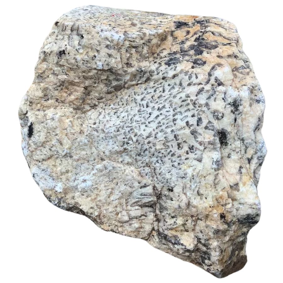 rough gray pegmatite