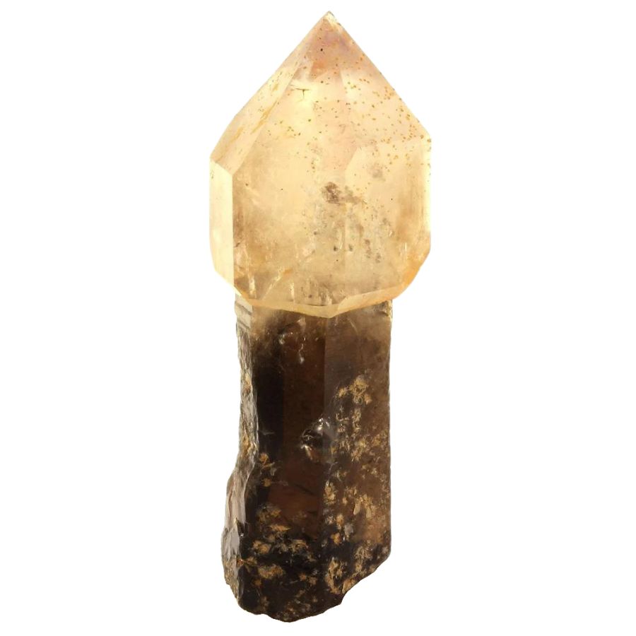scepter quartz with a white head and brown stem
