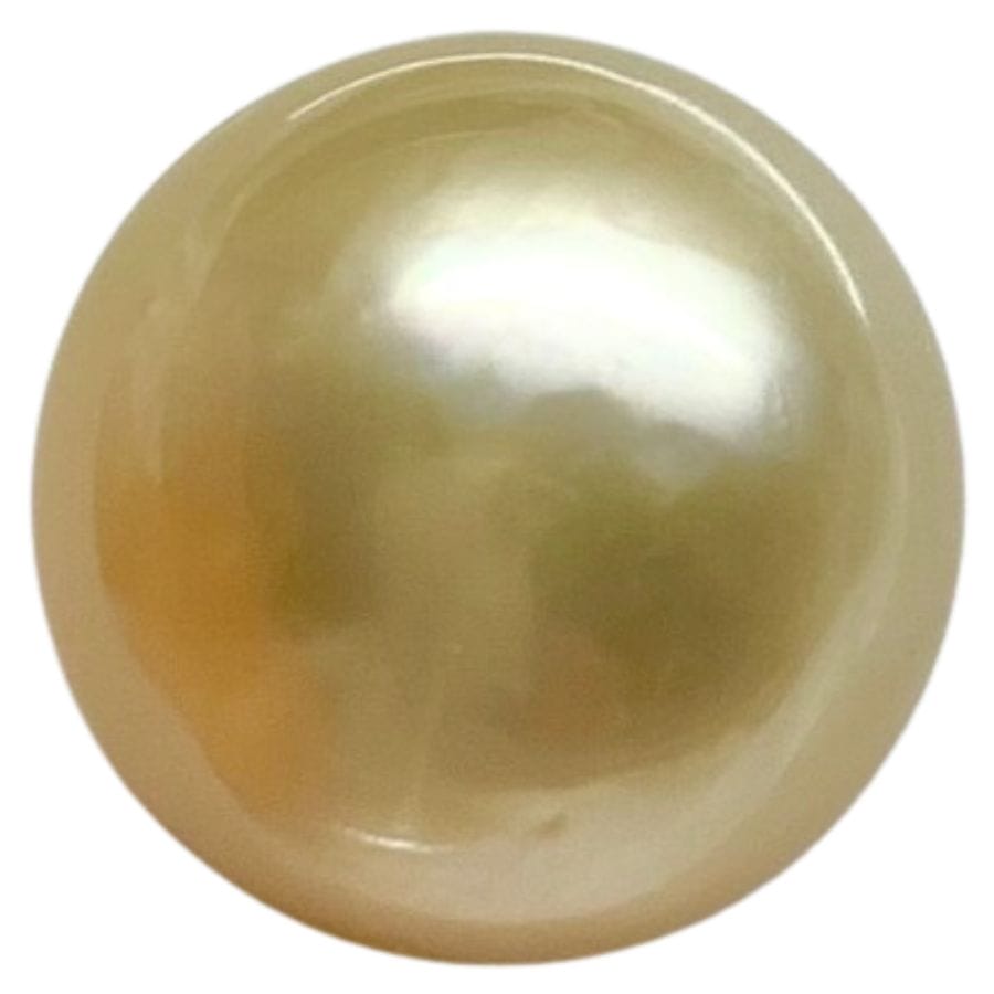 round golden South Sea pearl