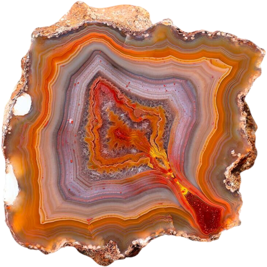 A condor agate showing off its colorful, thinly-spaced bands