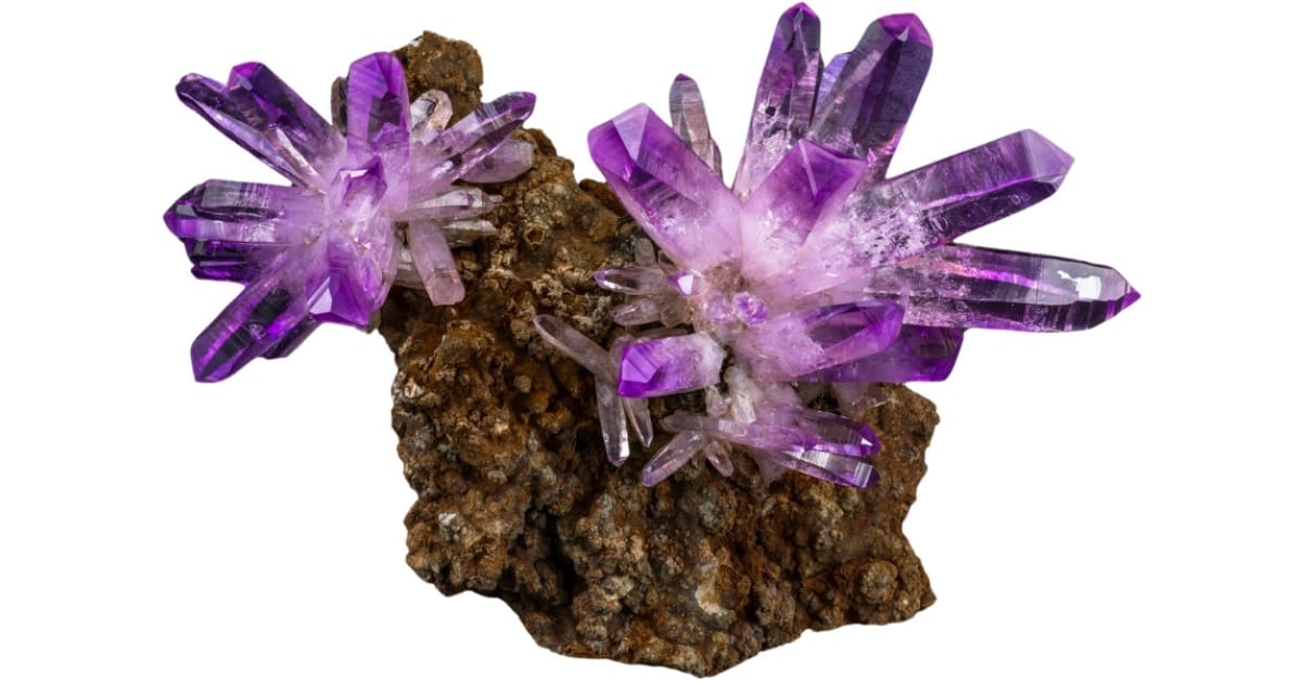 Flower-shaped saturated purple crystals of amethyst on a matrix
