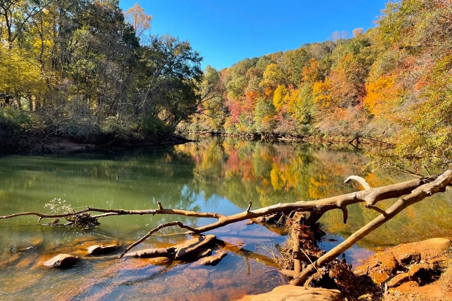 A scenic view of the Chattahoochee River foregrounded with a fallen branch of tree