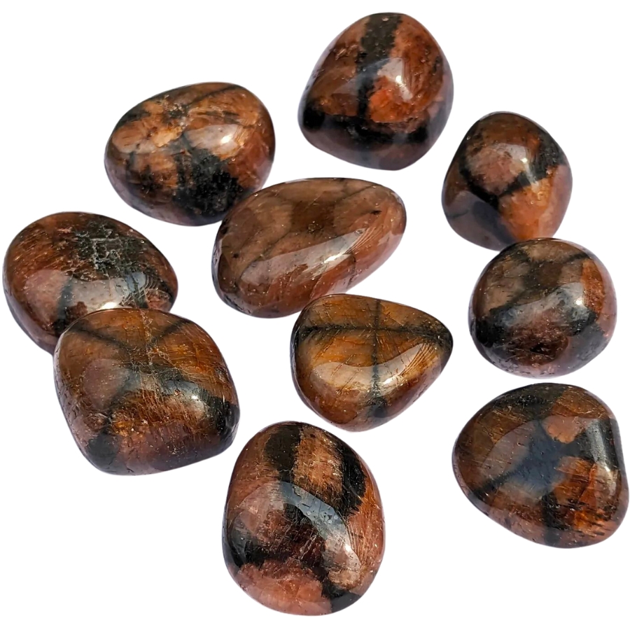 Several specimens of tumbled chiastolite
