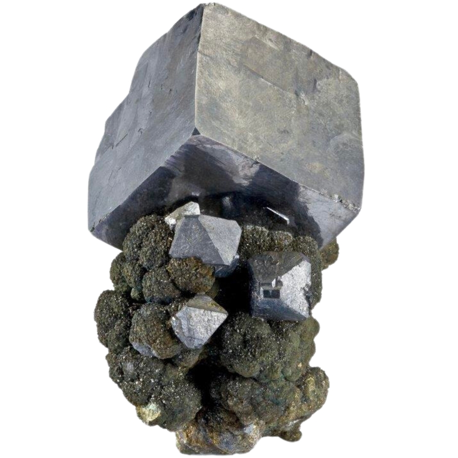 Cubic and octahedral galena on brassy marcasite matrix