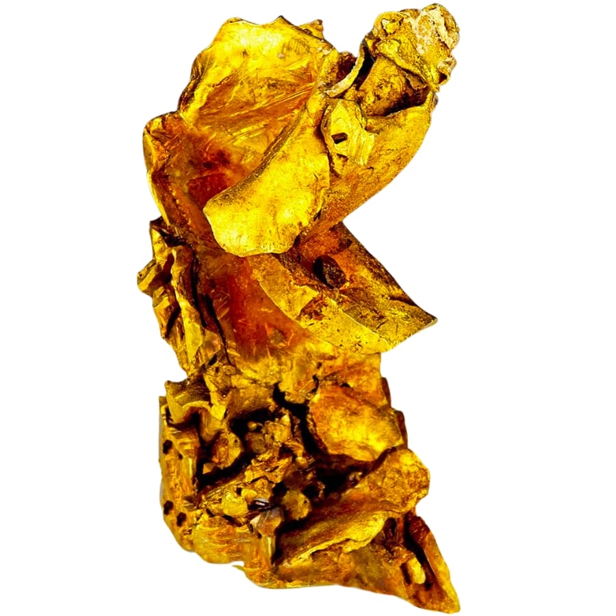 A stunning piece of leafy, crystallized native gold